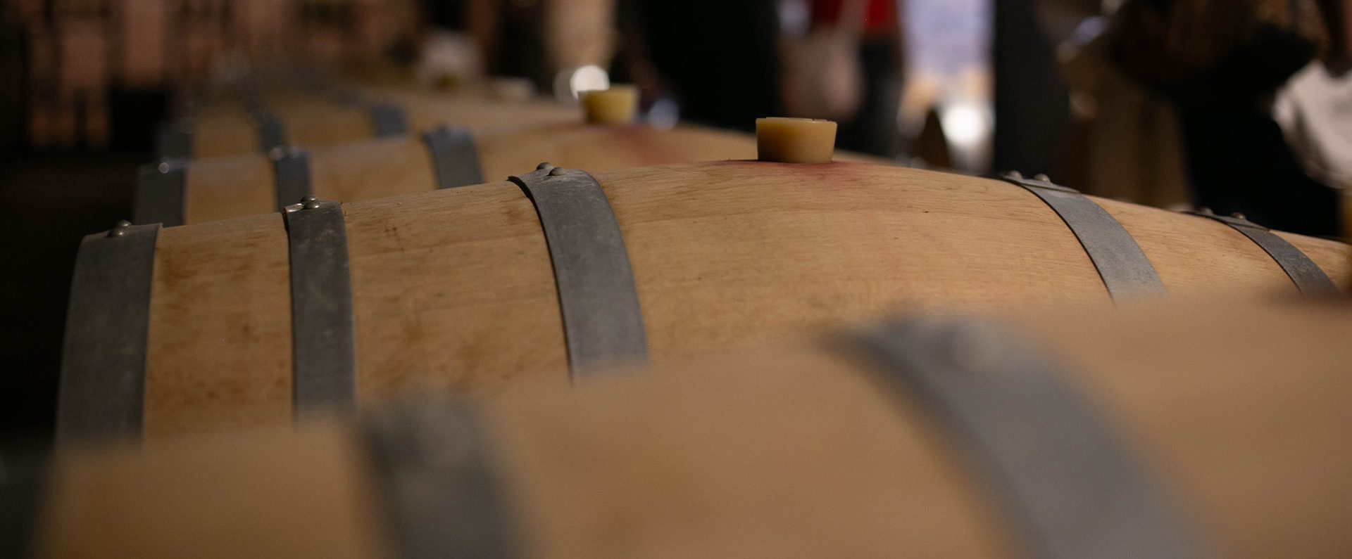 Vendimia 2026 Los Cerros de San Juan