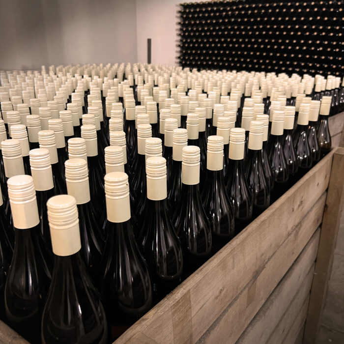 Portfolio internacional de vinos de Los Cerros de San Juan
